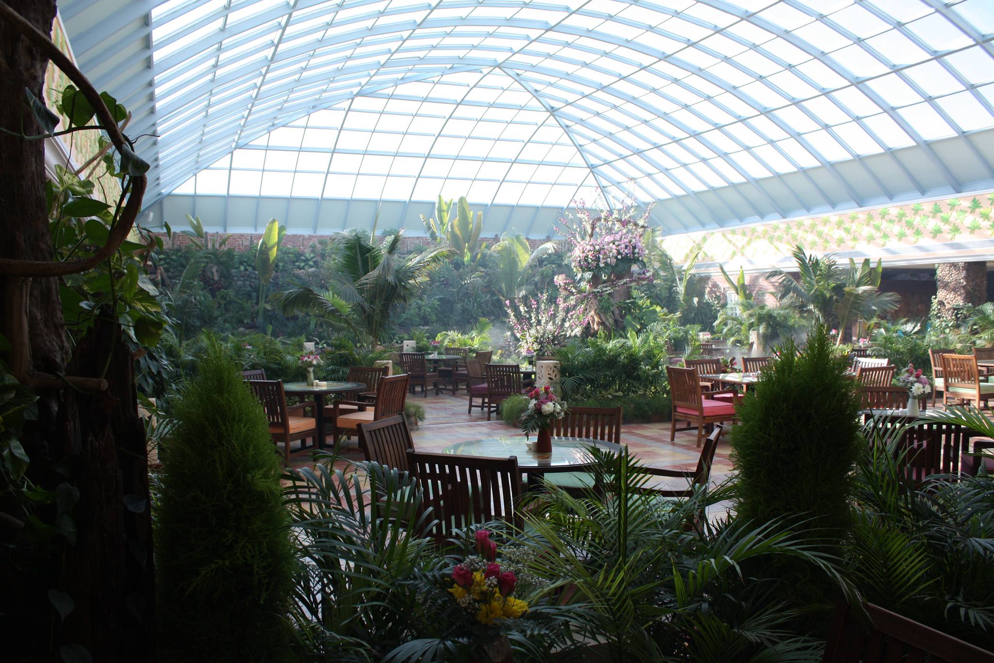 Papaya conservatory garden